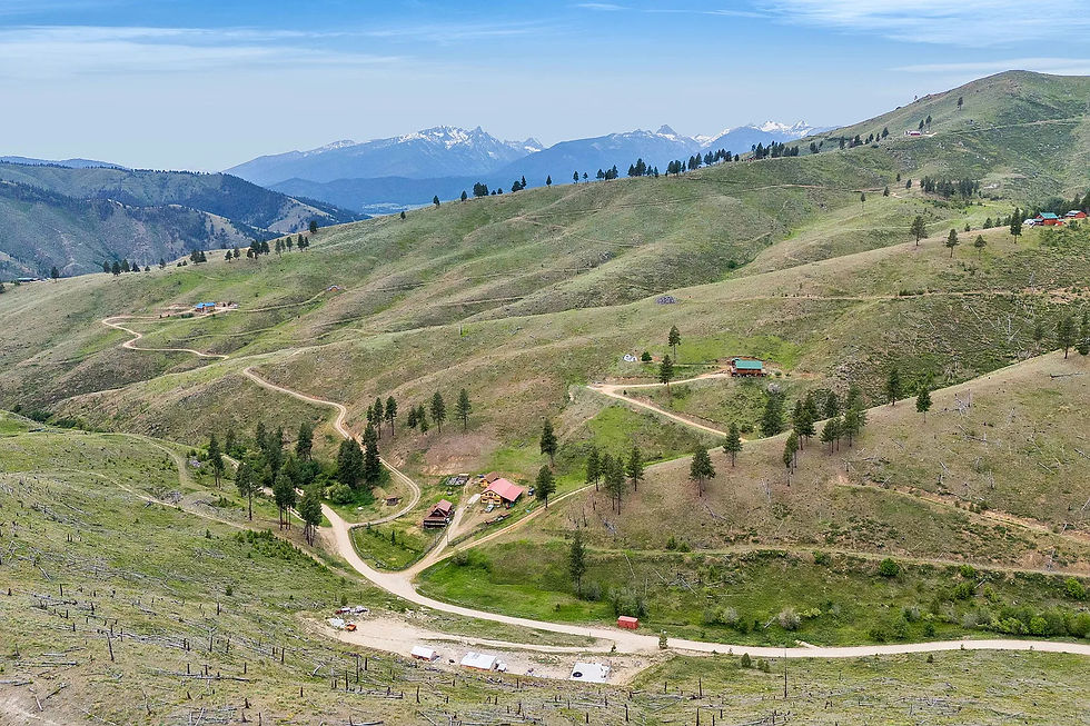 Rolling green hills with winding dirt roads, scattered trees, and a few houses under a clear blue sky with mountains in the distance.