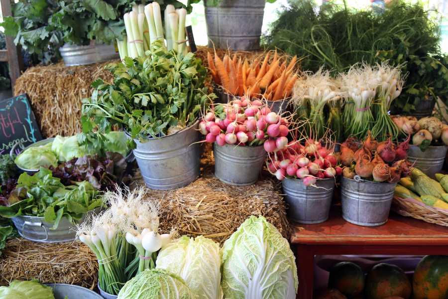 Montana Farmers Markets: Your Complete Guide for May–October 2026