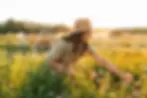Woman in a straw hat picks flowers in a sunlit field, smiling amidst colorful blooms and green foliage with a golden sunset backdrop.