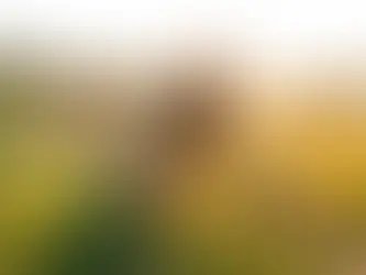 Bloom & Gather: Charming U-Pick Flower Farms in Montana