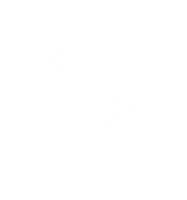 White Playful Content Creator Instagram Post (3).png