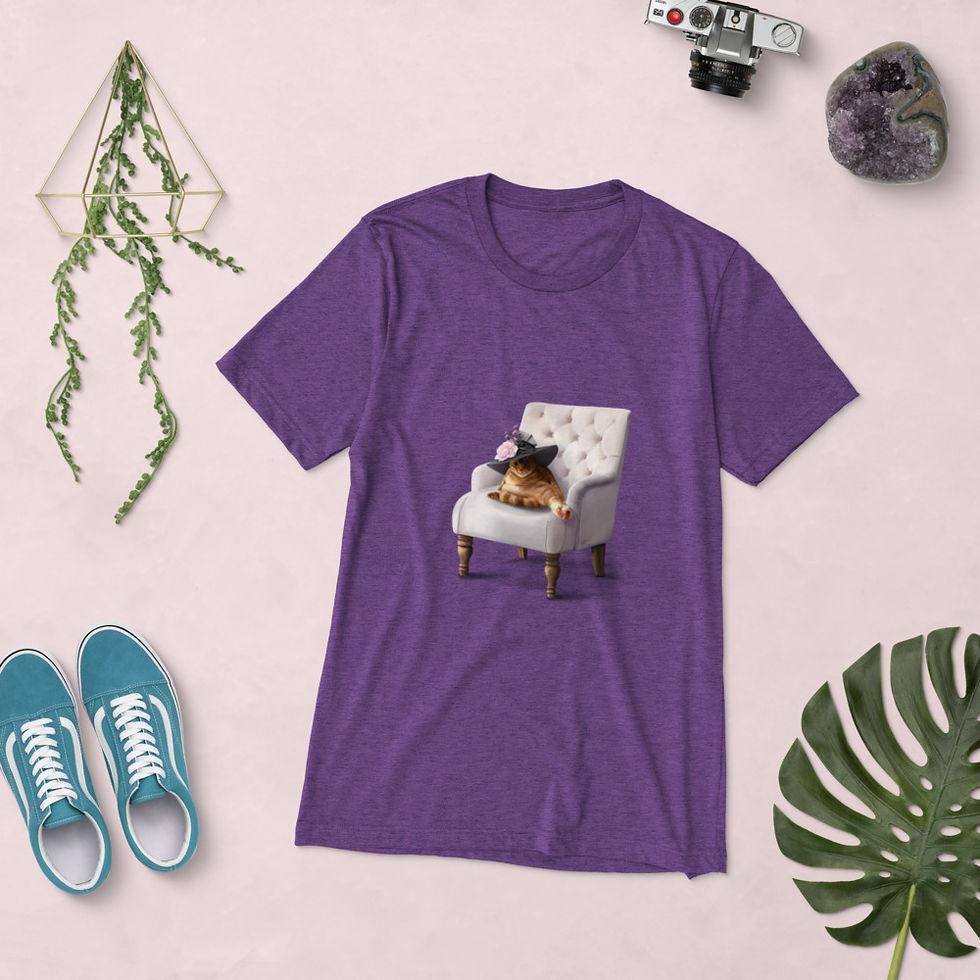 Thumbnail:  HatHole Triblend Unisex T-Shirt