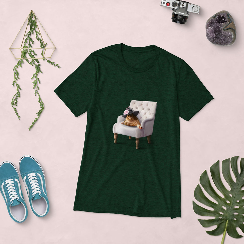 Thumbnail:  HatHole Triblend Unisex T-Shirt