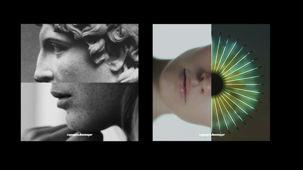 Gogo Documentacion-11-12