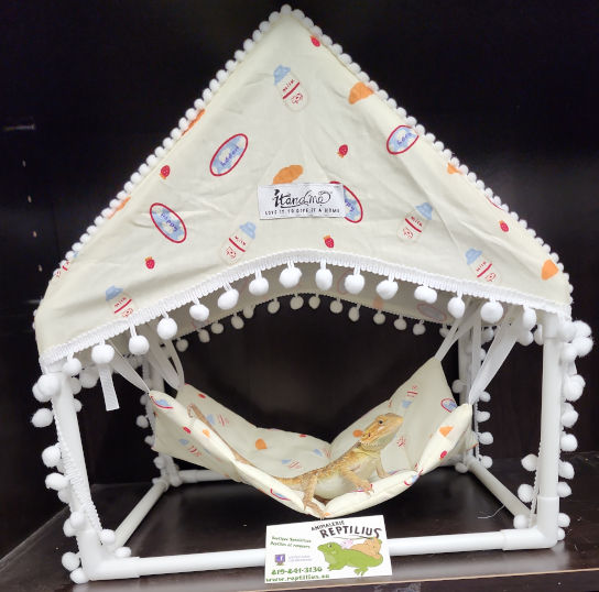 Miniature : Tente abri avec hamac