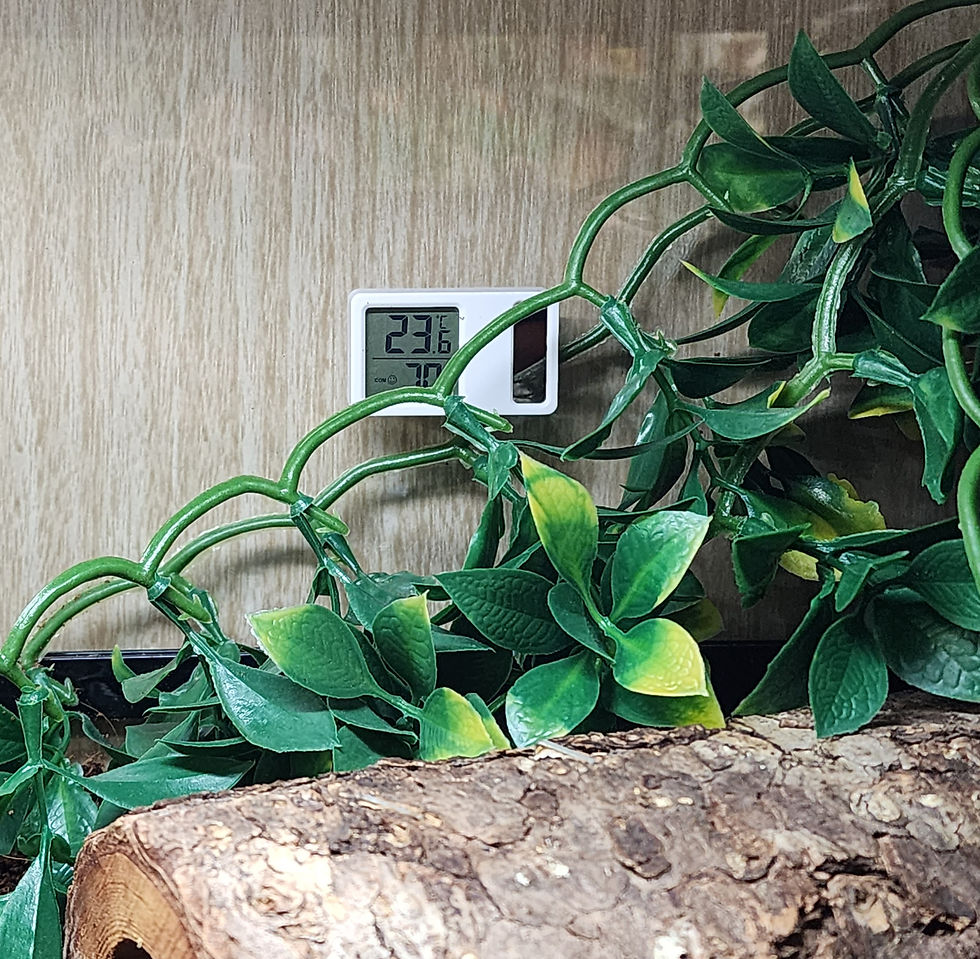 Miniature : Thermomètre et Hygromètre numérique à recharge solaire