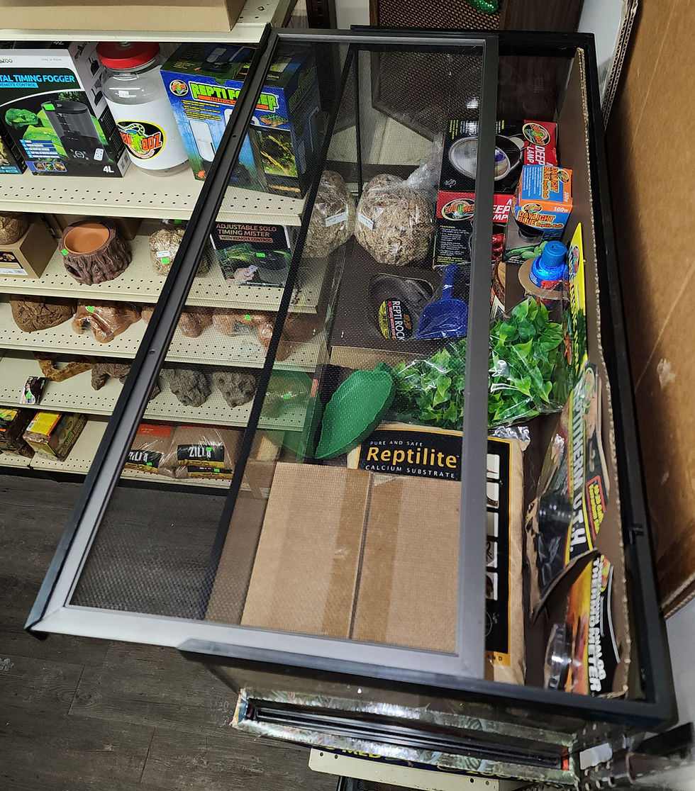 Miniature : Ensemble de départ pour Gecko léopard 20 gallons (zoo-med modifié)