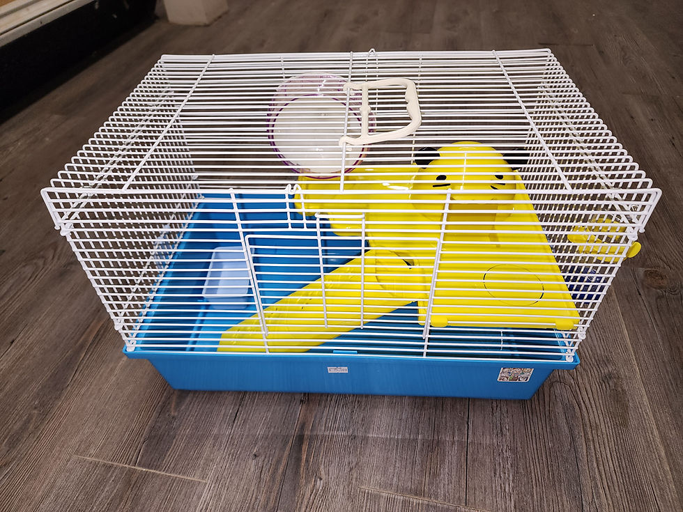 Cage hamster ensemble de départ - Critter Bunch