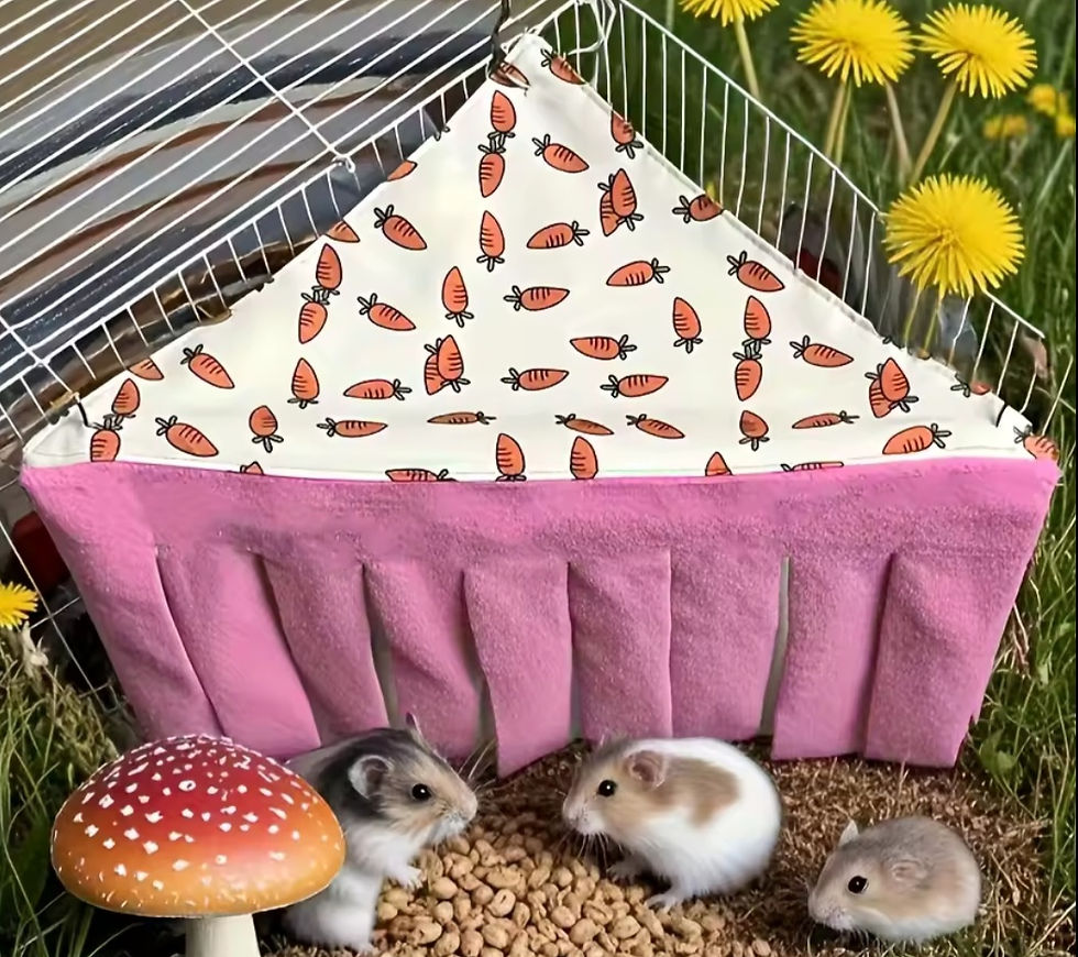 Miniature : hamac cachette 2 en 1 en coin avec franges
