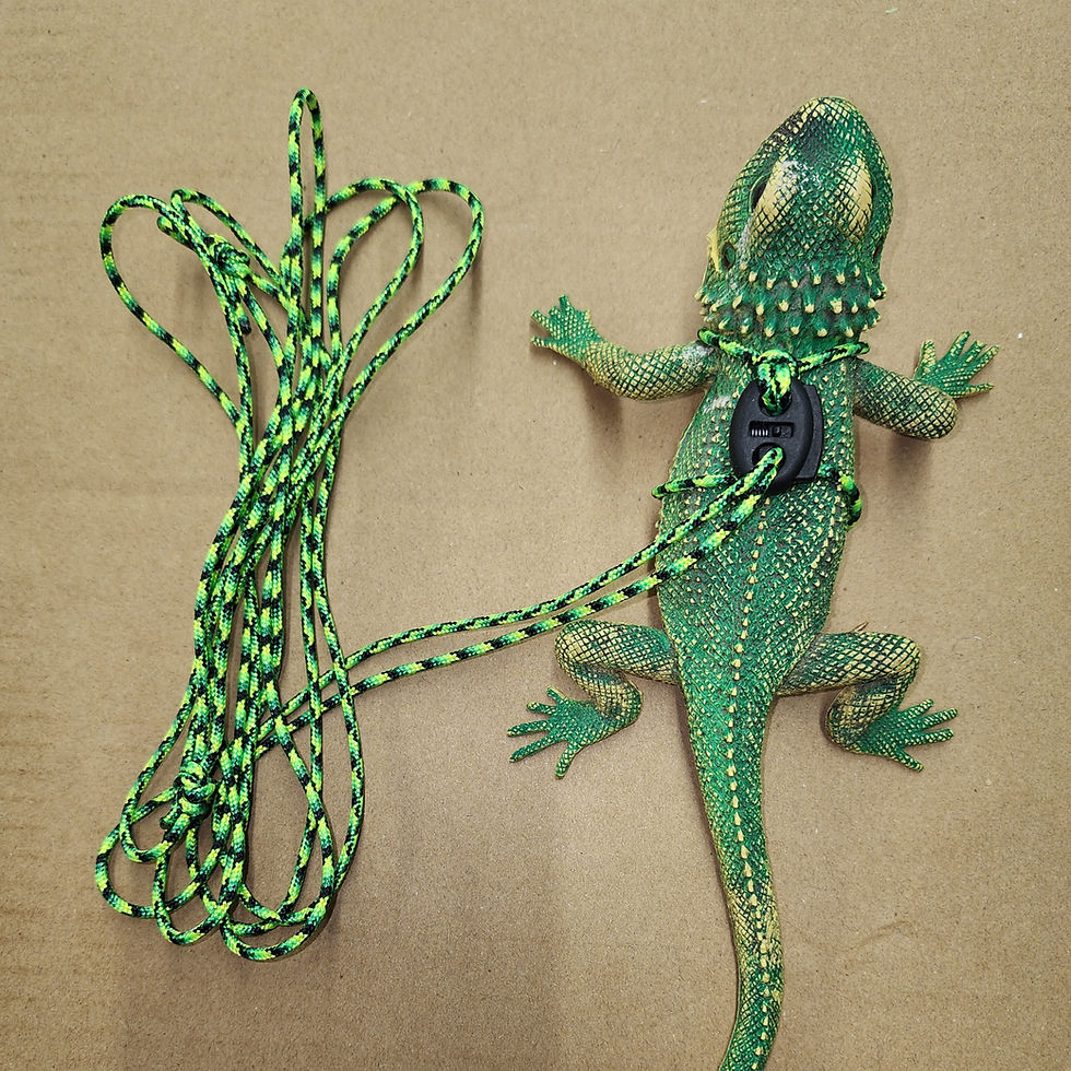 Laisse et harnais pour reptiles et petits animaux