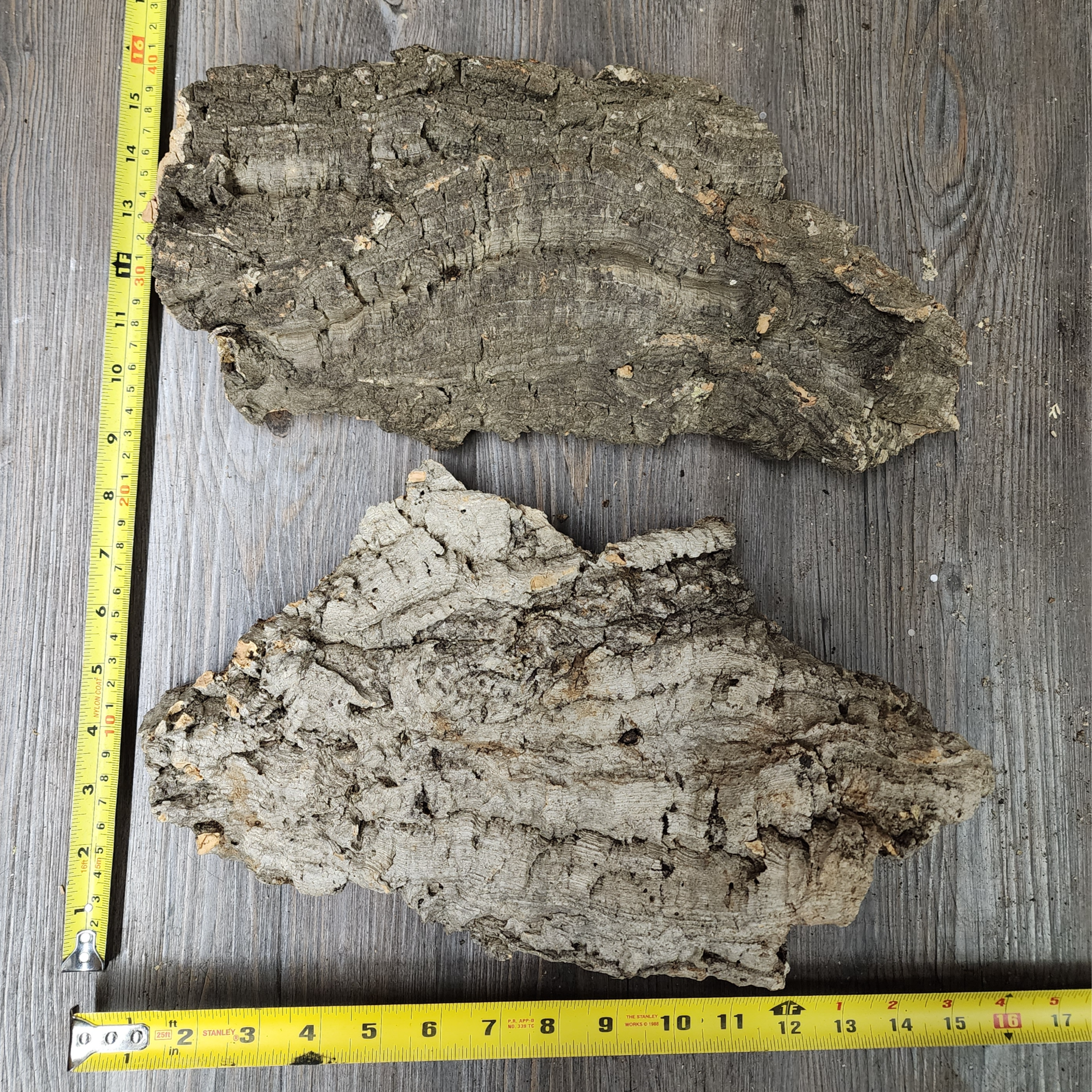 Liège naturel plat 9 à 14" assorti (cork bark) - Style C (225-350g)