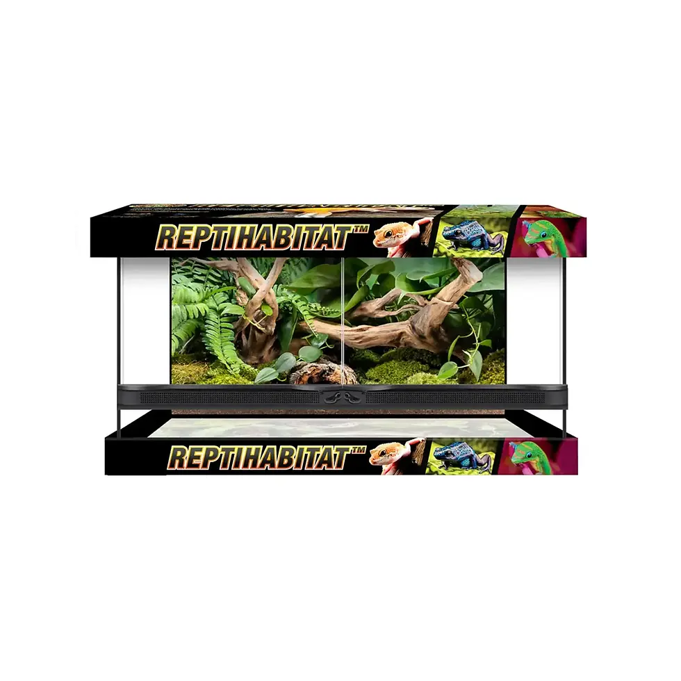 Miniature : Naturalistic terrarium zoo-med