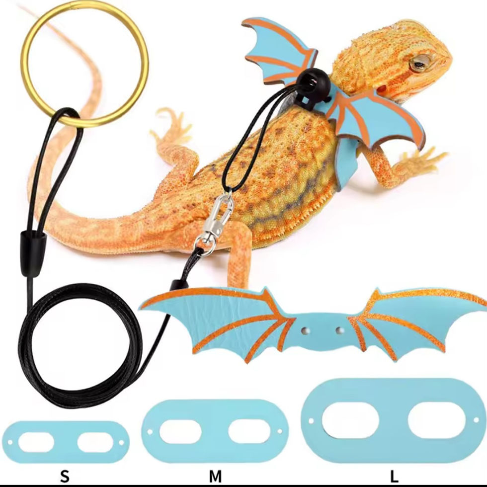 Miniature : harnais ailes dragon