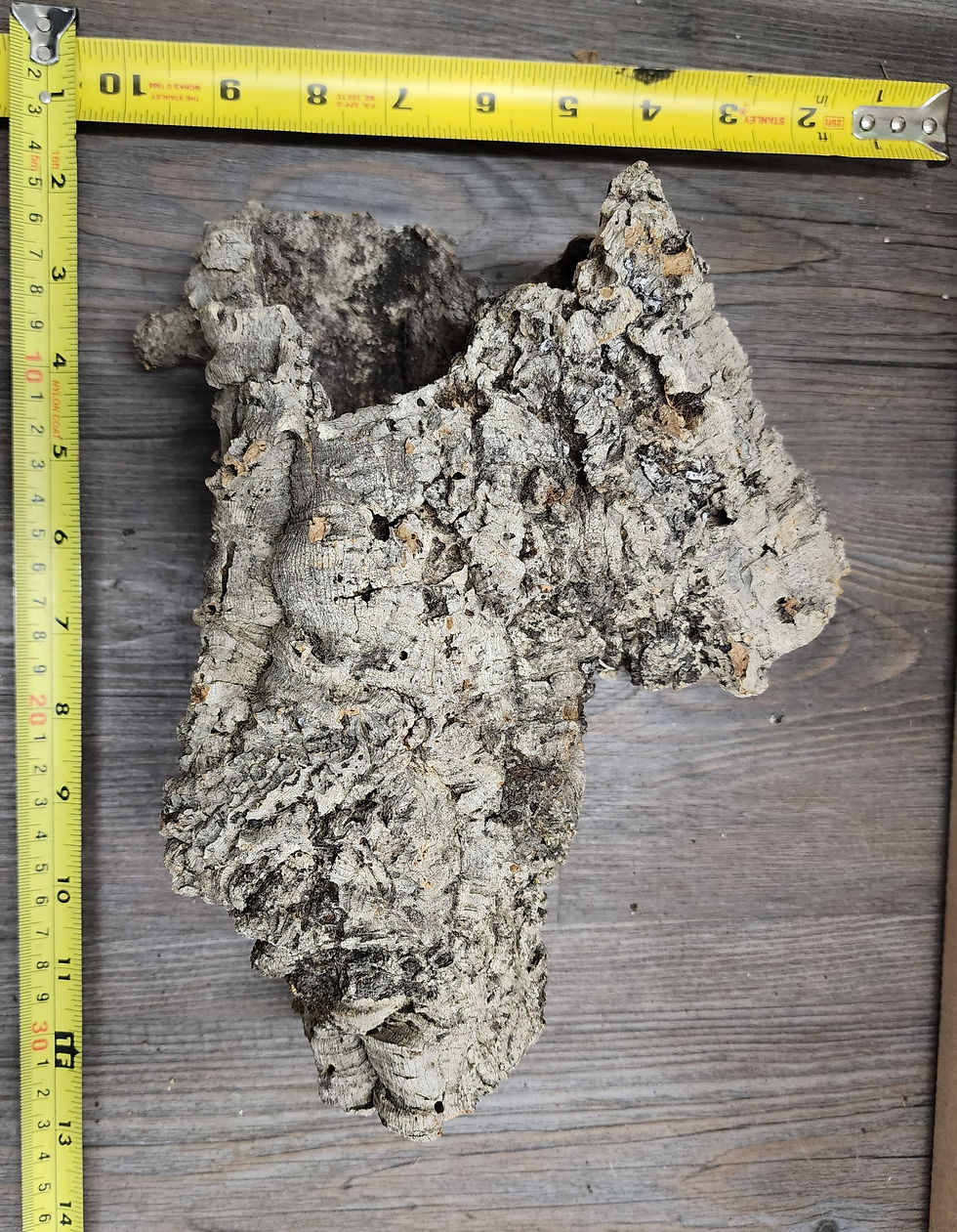 Liège naturel rond assorti (cork bark) - Style D (250-450g)