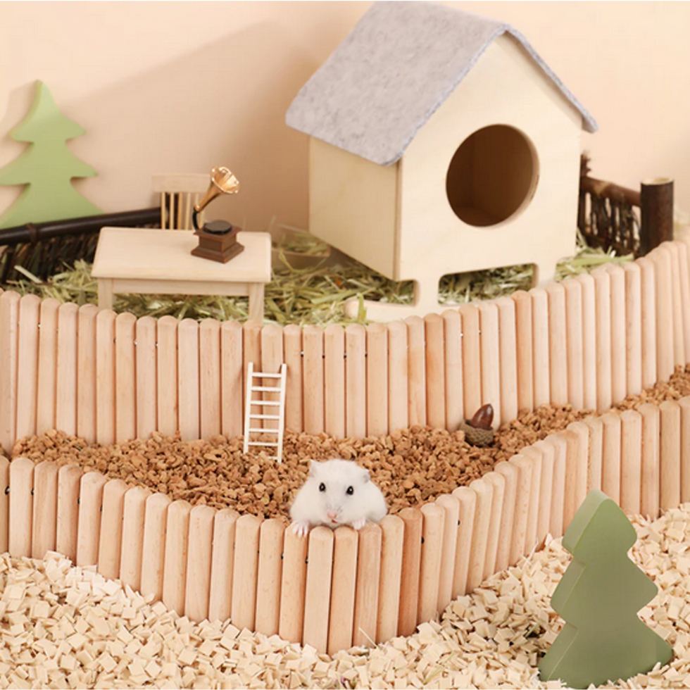 Clôture flexible en bois - Bendable birchwood fence - Mini et Moe