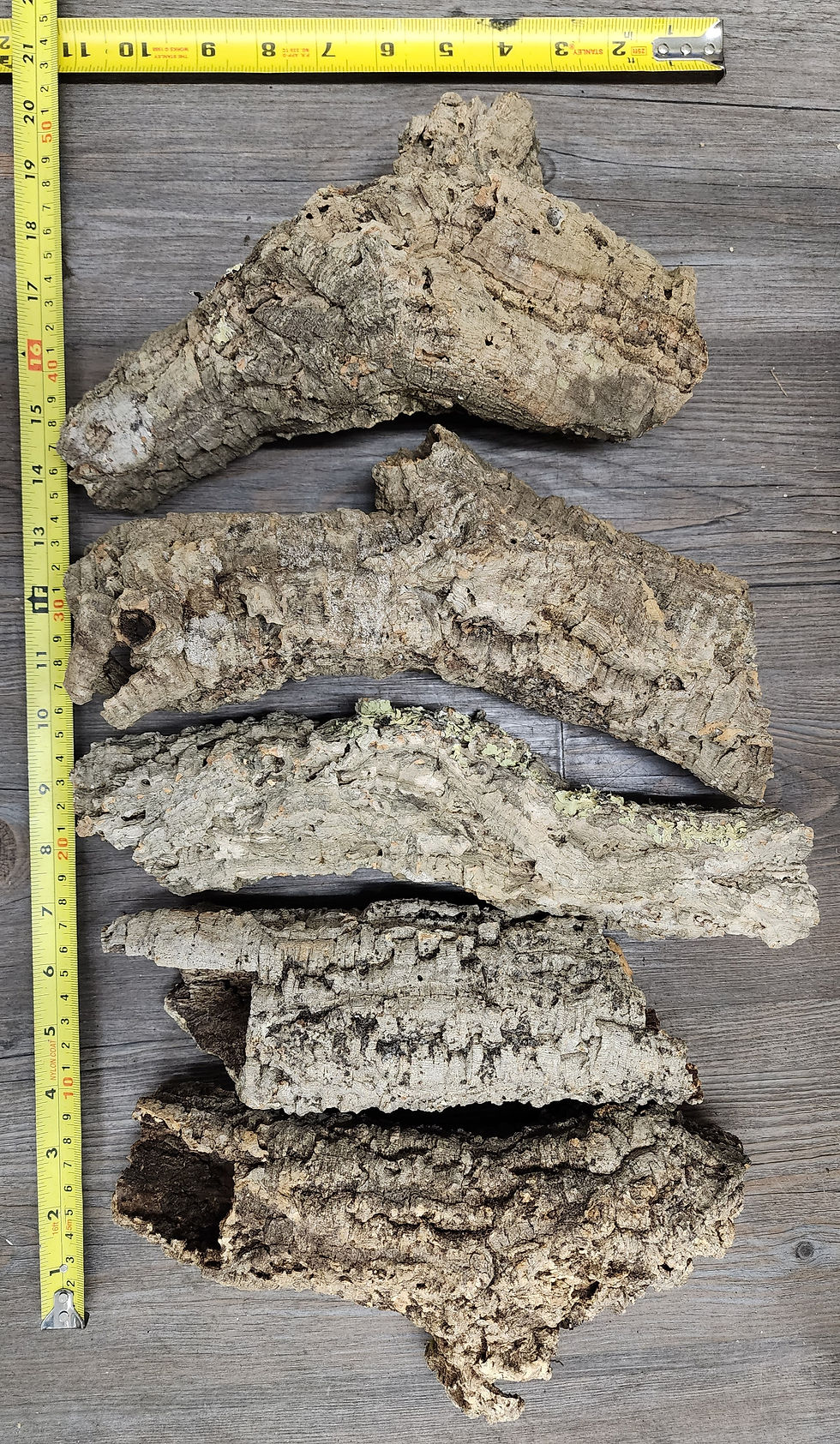 Liège naturel rond assorti (cork bark) - Style C (150-250g)