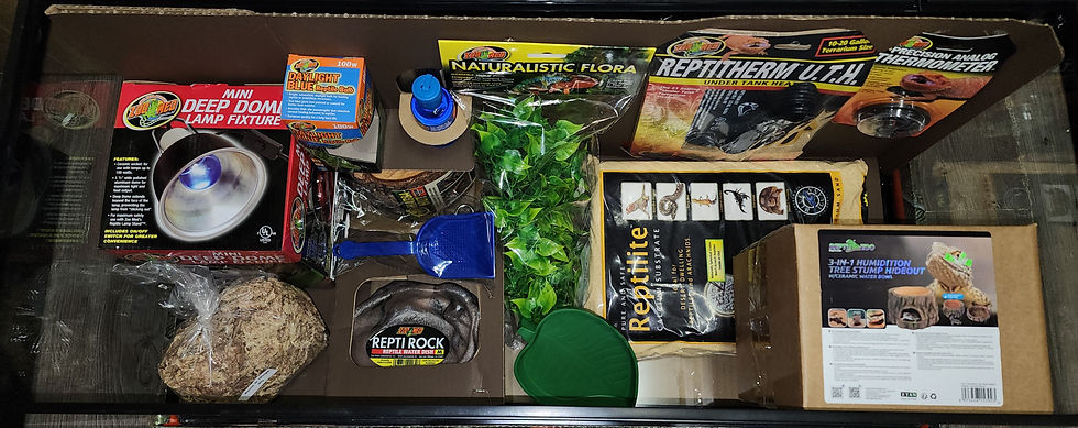 Ensemble de départ pour Gecko léopard 20 gallons (zoo-med modifié)