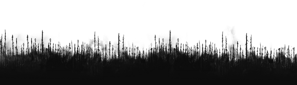 forest_line_V02.png