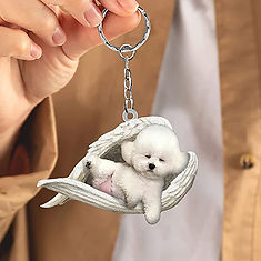 bichon angel