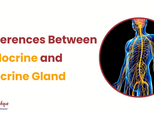 What Are the Differences Between Endocrine Glands and Exocrine Glands?