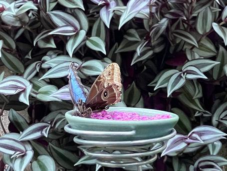 In Death