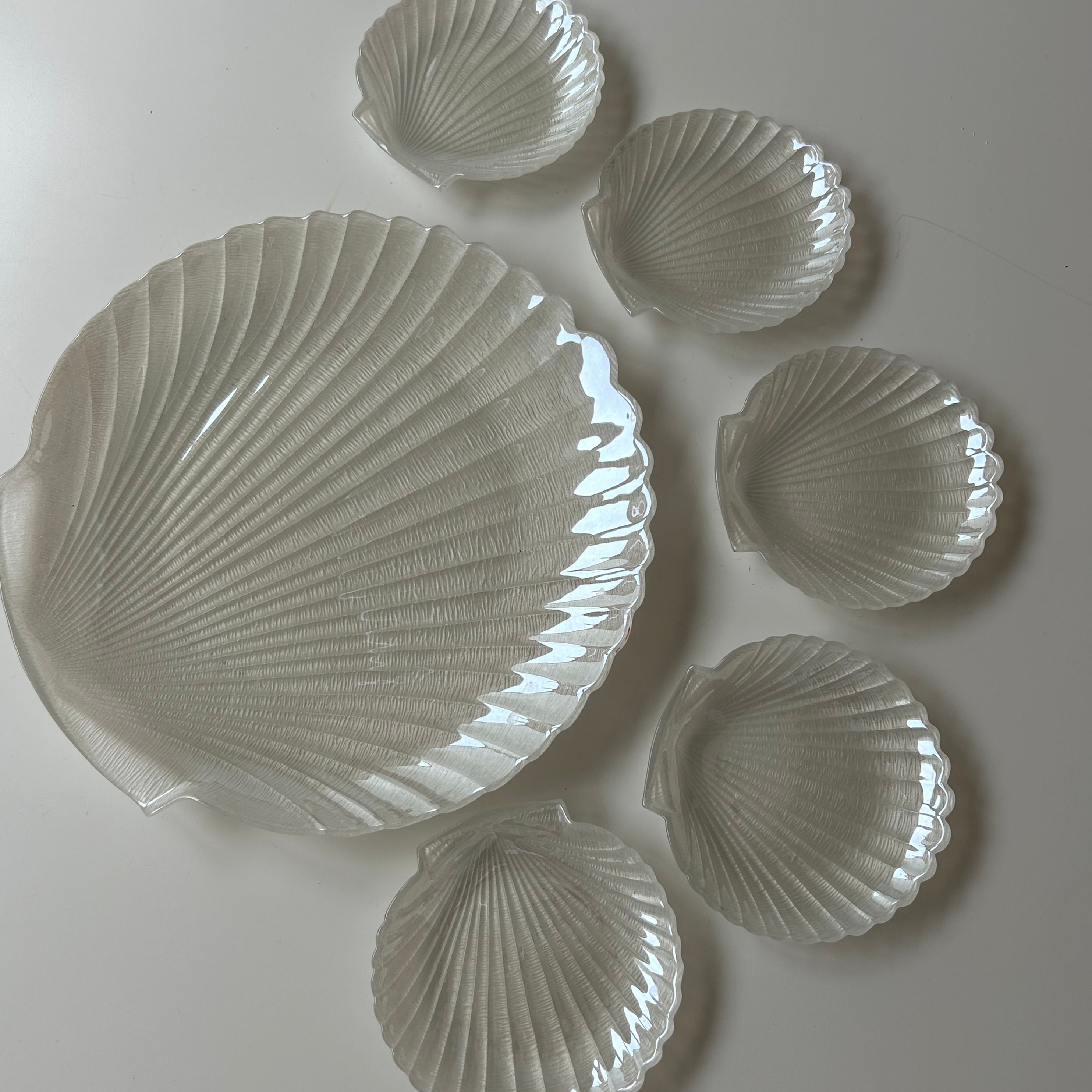 PEARLY WHITE CLAM DISHES [6]