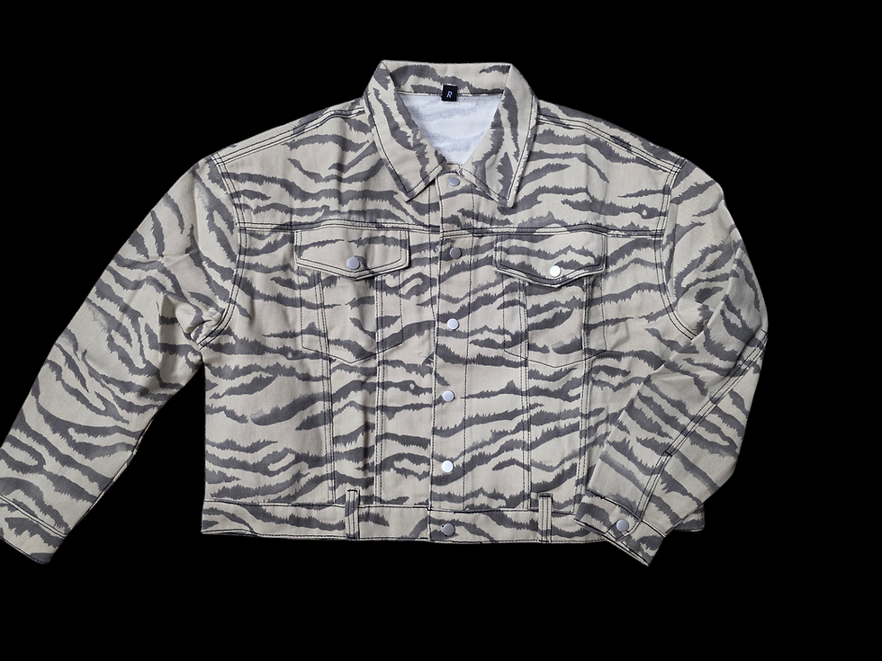 Thumbnail:  Desert Diva Zebra Jacket
