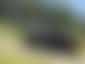 Team Lizard Motorsport Bring Fresh Faces to World GT Championship