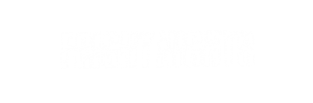 FN logo.png