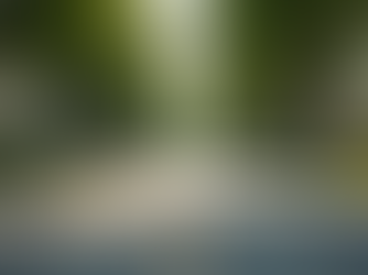 Essential Tips for Choosing the Perfect Location for Your First Home