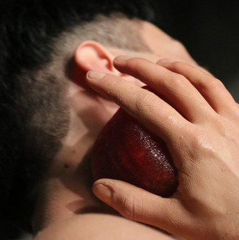 SANGUAZA performance por Burbiculo en JXTX