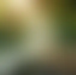 A serene and comforting view