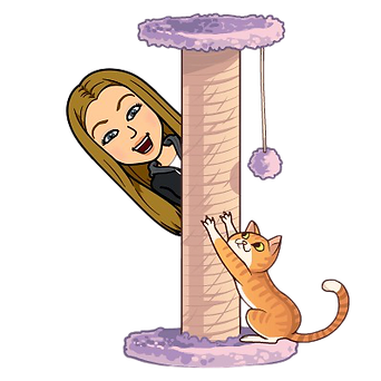 cartoon cat and post