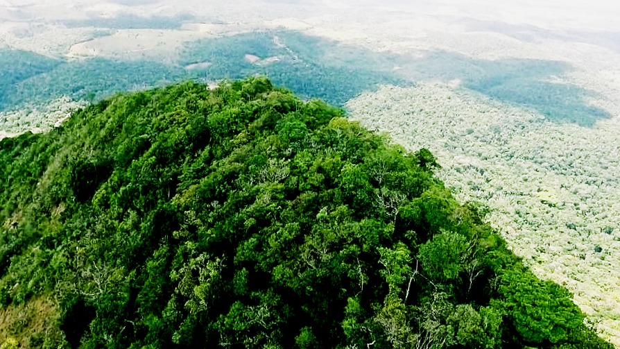 Parque Nacional e Histórico do Monte Pascoal — paisagem complementar da região