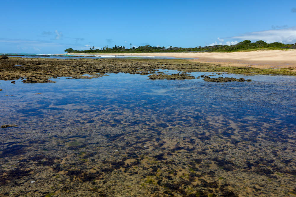 Praia de Patimirim - Trancoso