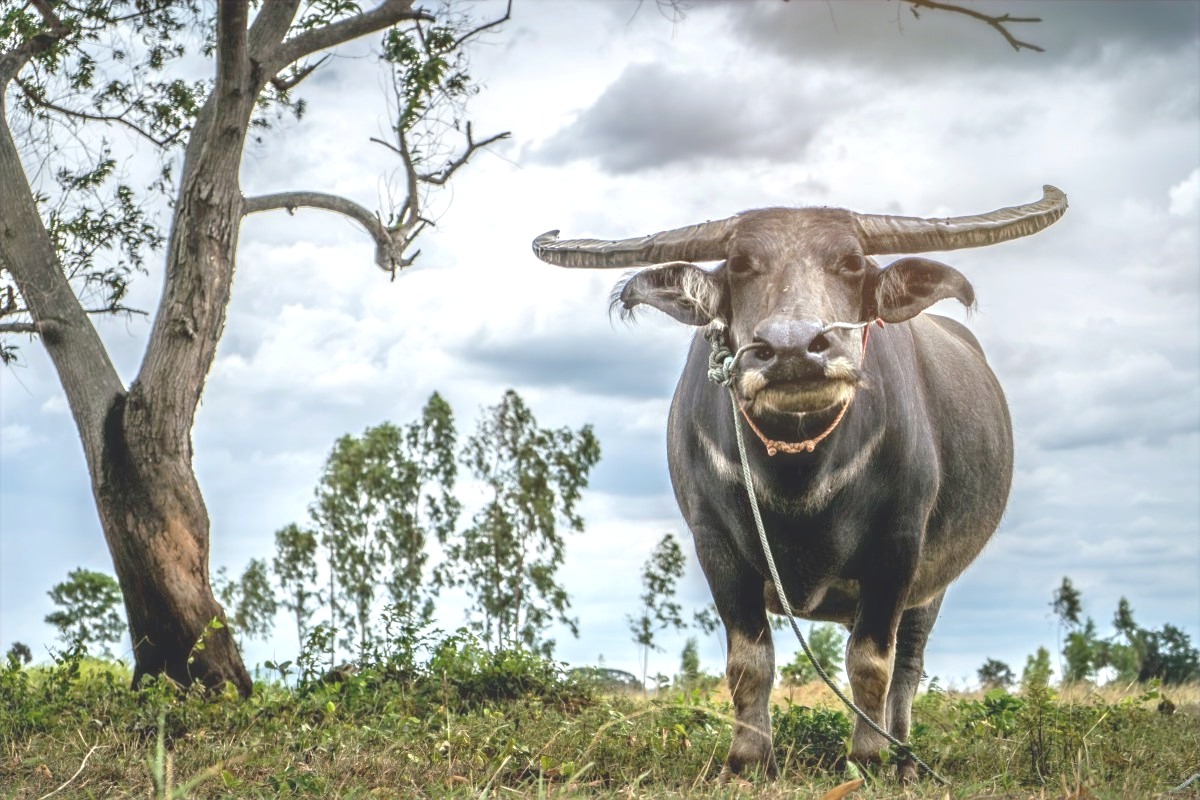 Turismo Rural