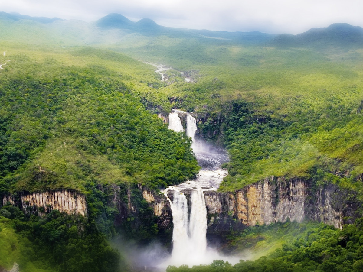 Parque Nacional do Pau Brasil — matéria da Rede Bem Bahia de Hotéis