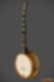 Bacon Plectrum Banjo
