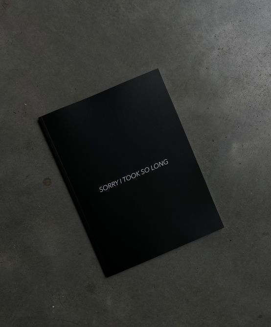 Sorry I Took So Long zine.