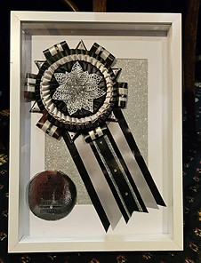 Century award - silver.jfif