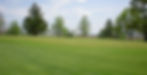 hole+7+green.JPG