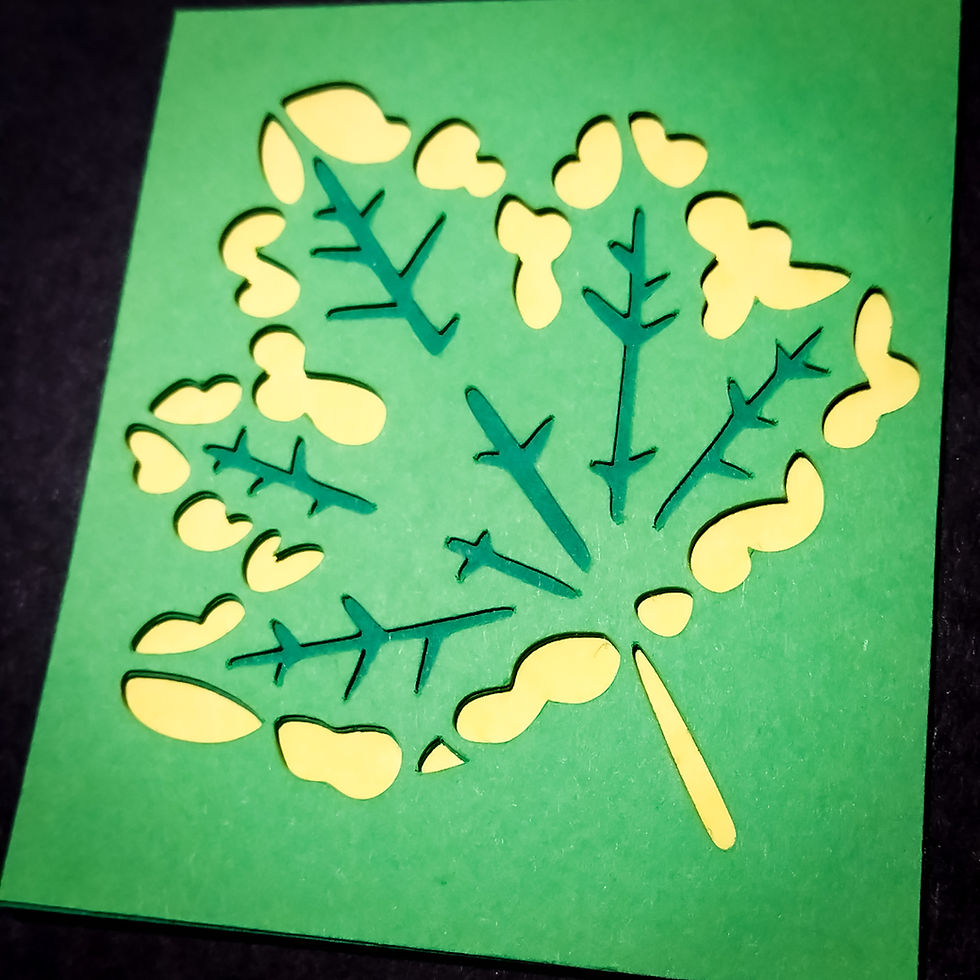 Thumbnail: Set of Four Framed Leaf Miniatures