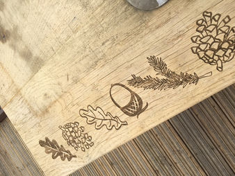 RBGK_WOODLAND WALK_5.JPG