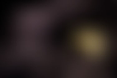 Digging for Gold: Uncovering Investment Treasures with Phil Fisher’s Scuttlebutt Method