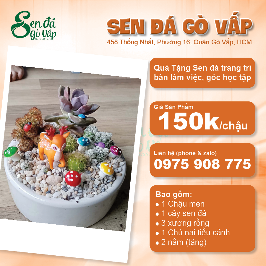 Sen đá quà tặng