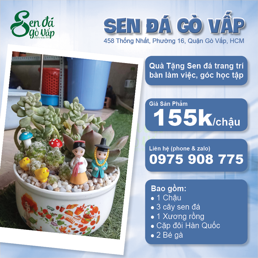 Sen đá quà tnawjg