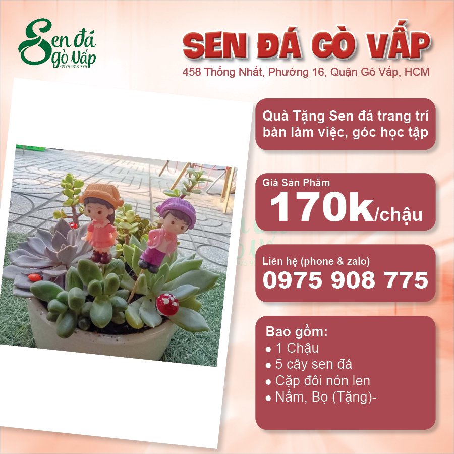 sen đá quà tặng