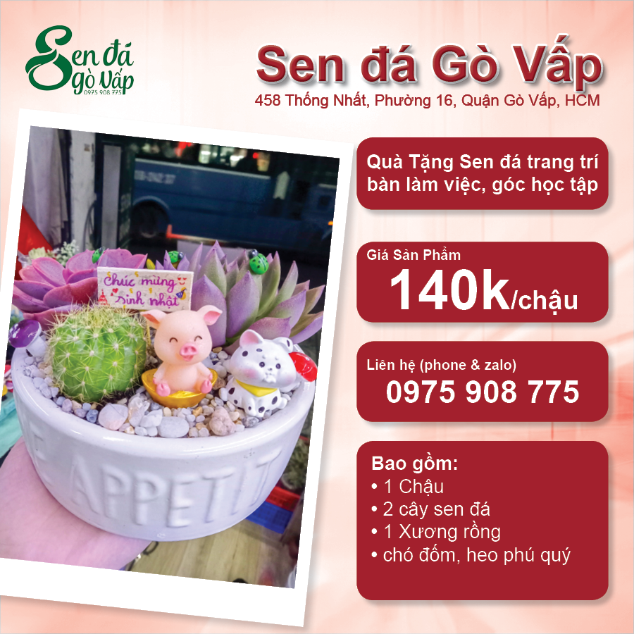 Sen đá quà tặng người bạn yêu thương