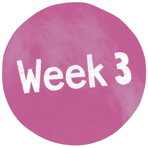 week 3.webp