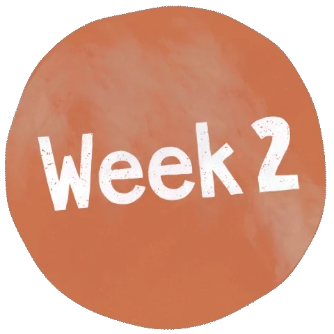 week 2.webp